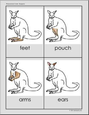 Nomenclature Cards: Kangaroo Three-Part Matching (red-highlight)