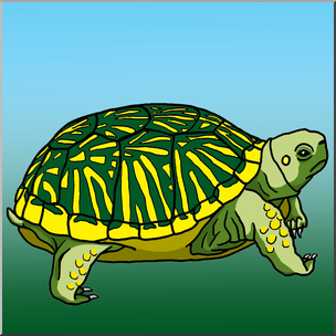 Clip Art: Ornate Box Turtle Color – Abcteach