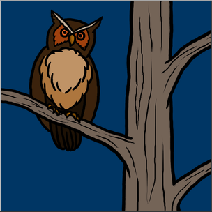 Clip Art: Owl in Tree Color