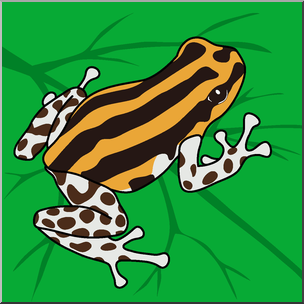 Clip Art: Frogs: Pasco Poison Dart Frog Color 2