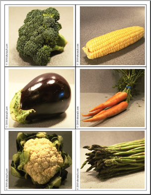 Science: Photo Card: Fruit/Vegetable (color)
