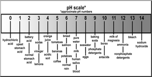 Clip Art: pH Scale Grayscale