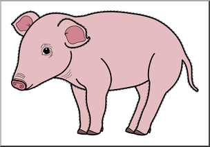 Clip Art: Baby Animals: Pig Piglet Color 1