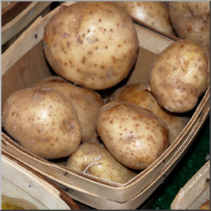 Photo: Potatoes 02b LowRes