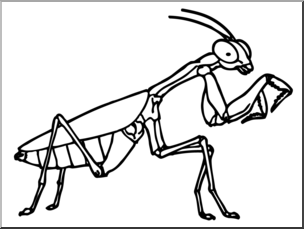 Clip Art: Insects: Praying Mantis B&W