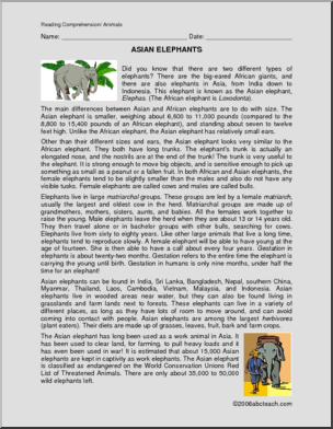 Comprehension: Asian Elephant (upper elem)