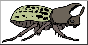 Clip Art: Insects: Rhinoceros Beetle Color