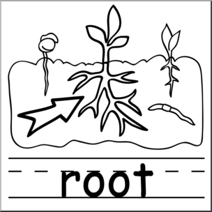 Clip Art: Basic Words: Root B&W Labeled