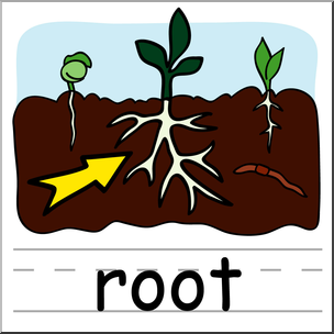 Clip Art: Basic Words: Root Color Labeled