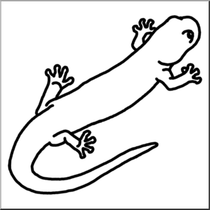 Clip Art: Salamander B&W – Abcteach