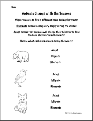 science animal adaptations page grade 1 abcteach