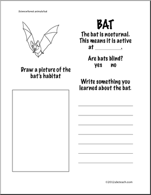 Science: Bat Information Page (Grade 1)