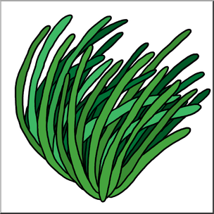 Clip Art: Plants: Seagrass Color 2
