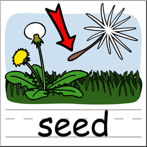 Clip Art: Basic Words: Seed Color (poster)