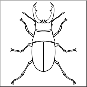 Clip Art: Insects: Stag Beetle B&W