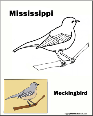 Mississippi: State Bird – Mockingbird