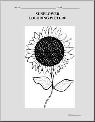 Coloring Page: Sunflower