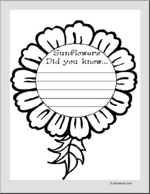 Shapebook:  Sunflower