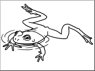 Clip Art: Frog Swimming B&W