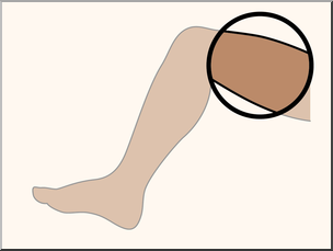 Clip Art: Parts of the Body: Thigh Color Unlabeled – Abcteach
