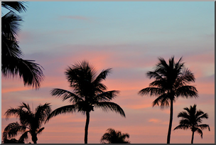 Photo: Tropical Sunset 01 LowRes