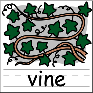 Clip Art: Basic Words: Vine Color Labeled