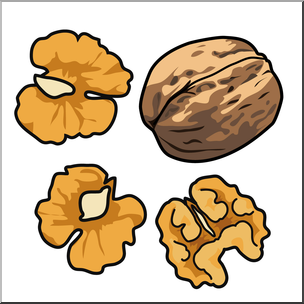 Clip Art: Walnuts Color