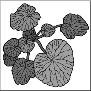 Clip Art: Plants: Wasabi Grayscale