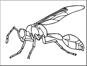 Clip Art: Insects: Wasp B&W