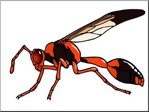 Clip Art: Insects: Wasp Color