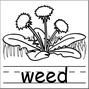 Clip Art: Basic Words: Weed B&W (poster)