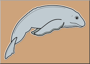 Clip Art: Baby Animals: Whale Calf Color 2