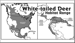 Clip Art: Habitat Map: White-tailed Deer Grayscale