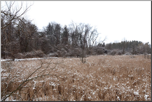 Photo: Winter Landscape 01 LowRes