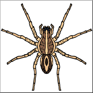 Clip Art: Spiders: Wolf Spider Color