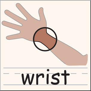 Clip Art: Parts of the Human Body: Wrist Color