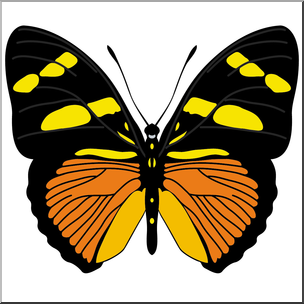 Clip Art: Butterfly: Yellow Bar Color