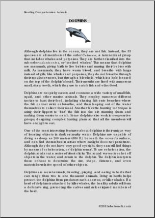 Comprehension: Animals: Dolphins (upper elem/middle)