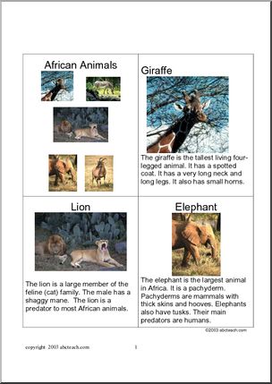 Fact Card: African Animals 1 – Abcteach