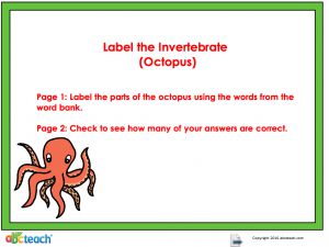 Interactive: Flipchart: Science: Animals: Invertebrates (label/octopus)