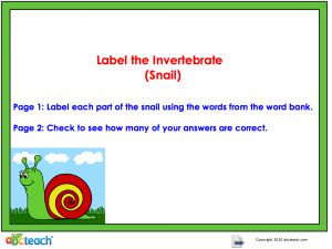 Interactive: Flipchart: Science: Animals: Invertebrates (label/snail)