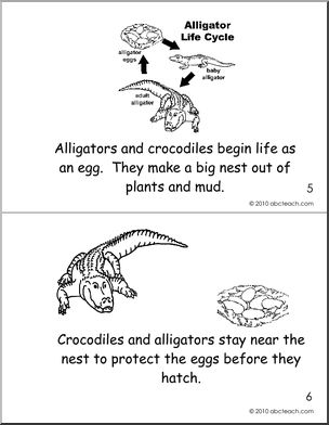 Early Reader: Crocodile and Alligator Booklet (b/w) (k-1)