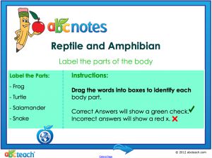 Interactive: Notebook: Animals- Reptile and Amphibian Diagrams