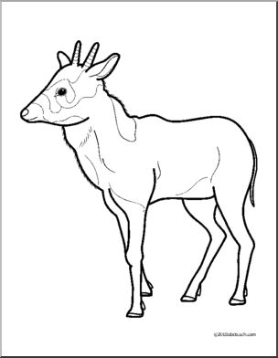 Clip Art: Baby Animals: Antelope Calf (coloring page) – Abcteach