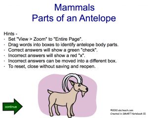 Interactive: Notebook: Mammals–Label Antelope
