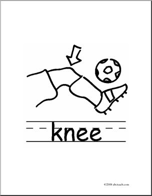 Clip Art: Basic Words: Knee B/W (poster) – Abcteach