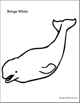 beluga whale coloring page