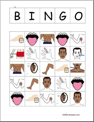 Bingo: Body Parts, card set D (German)