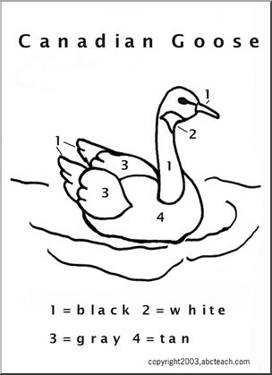 Color By Number: Canadian Goose – Abcteach