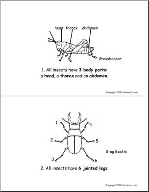 Booklet: Insects (elementary) -b/w